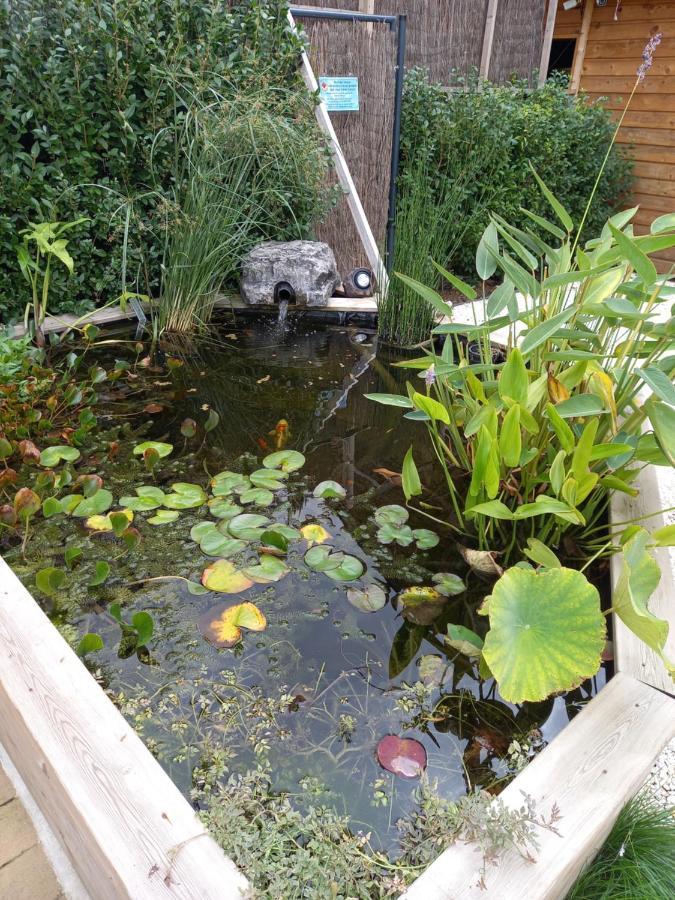 Appartement 3 Eme Etage Avec Piscine Partagee Sedan Dış mekan fotoğraf